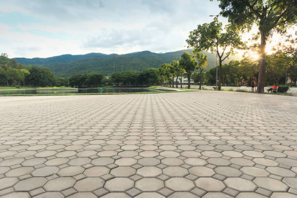 Best Driveway Paving Contractor  in Wilson, WY